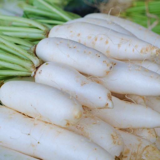 White Radish - Radis Blanc