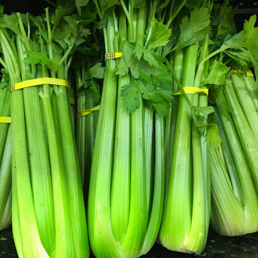 Celery